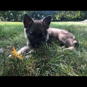 Meet your Posher, Alec